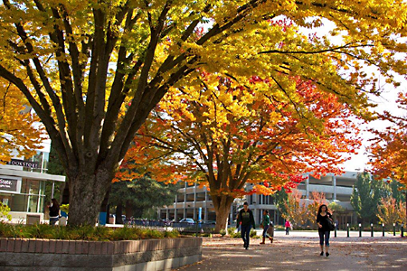 Tree Campus