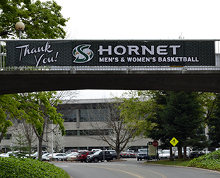 Hornet Thank You