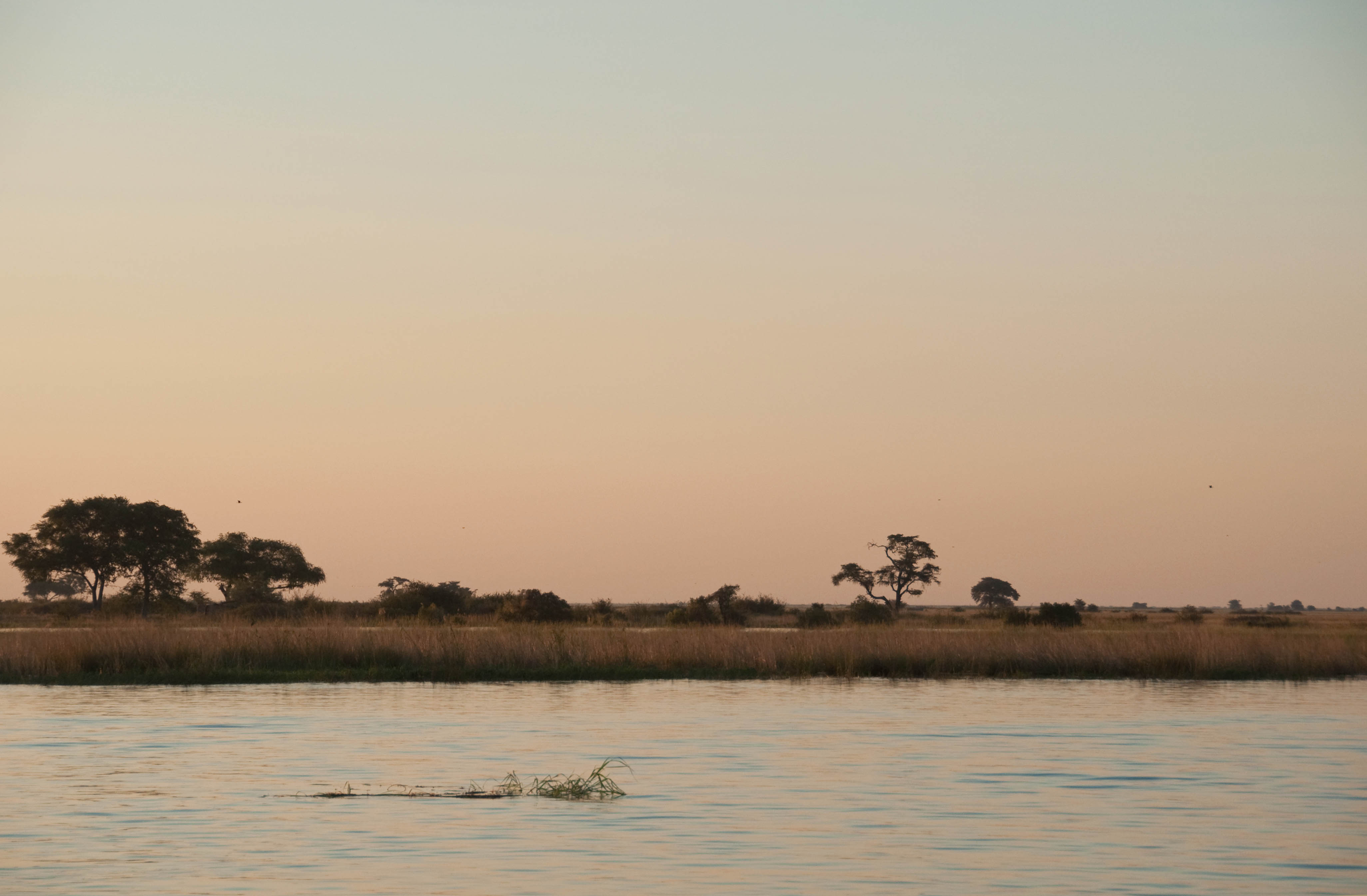 Chobe River, Botswana