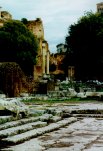 Roman Forum.JPG