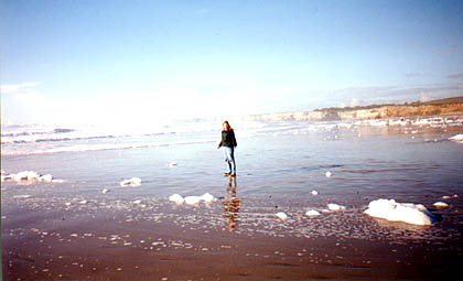 beach