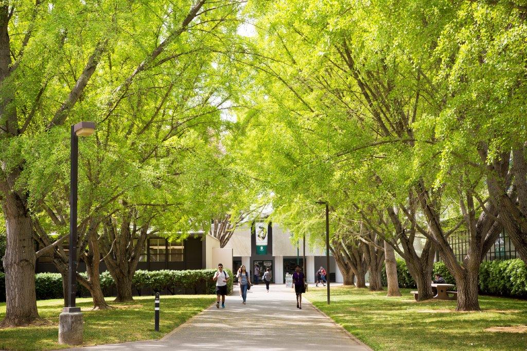 Tree Campus USA 2017