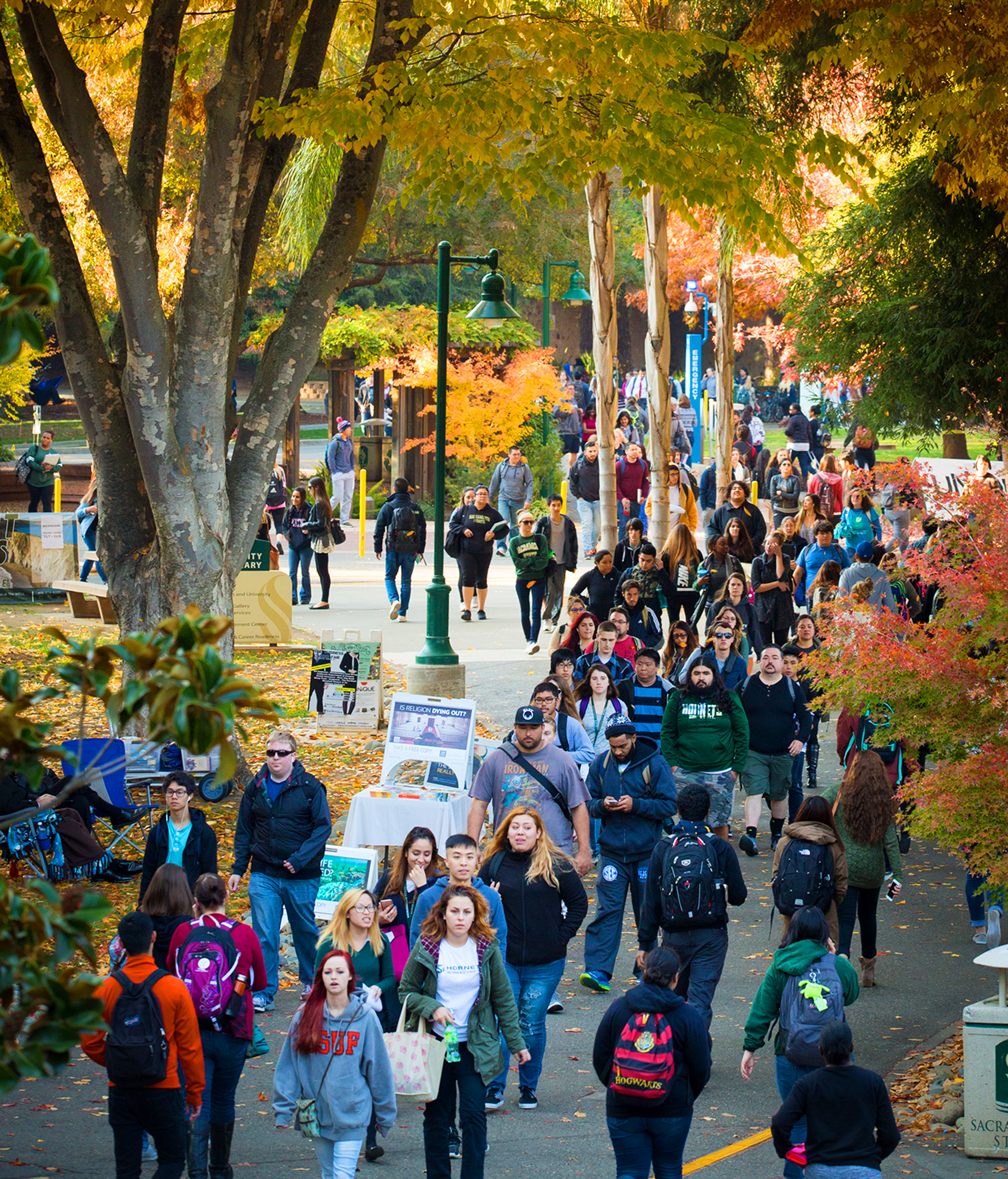 Students on Campus