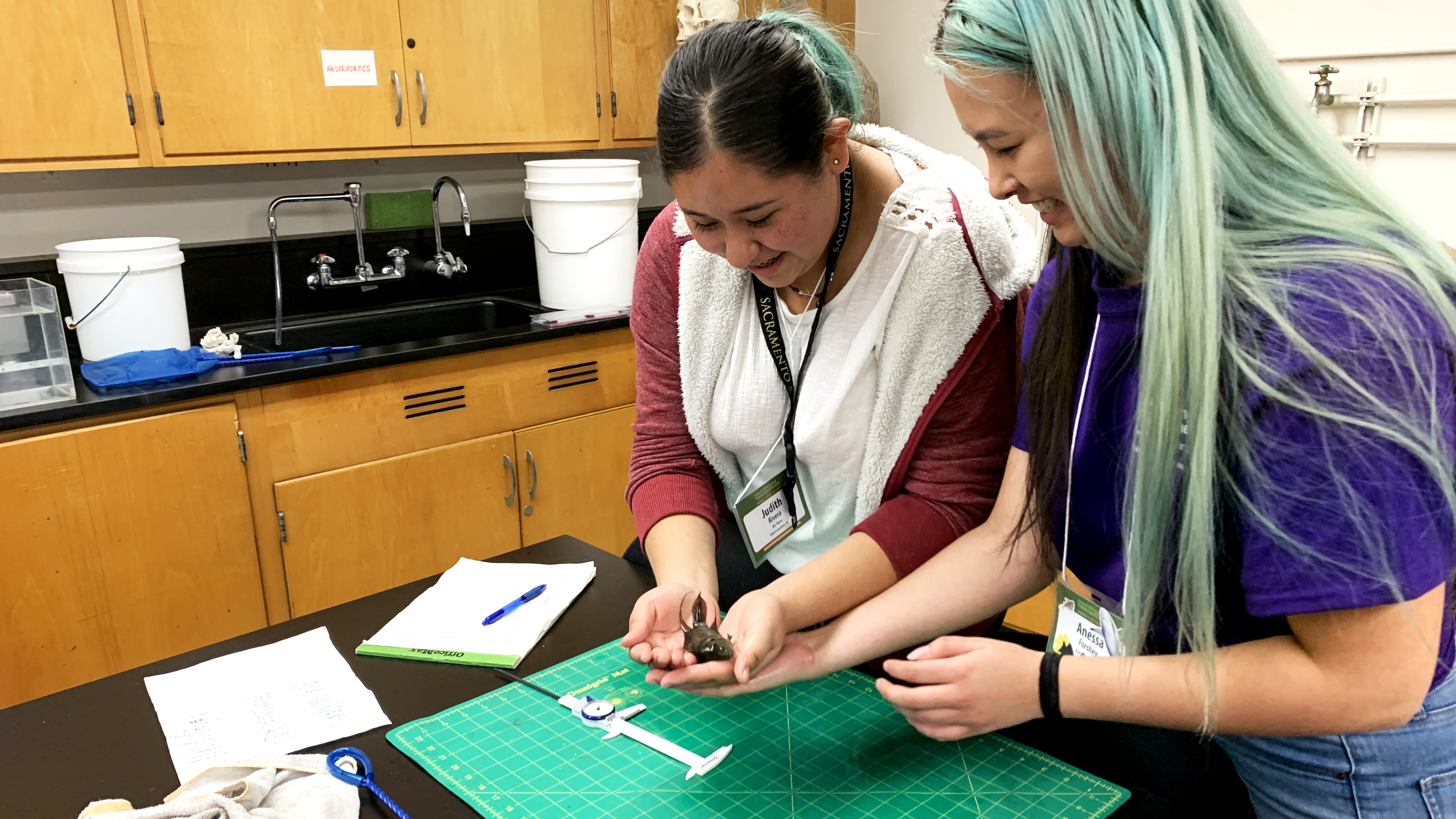 A girl in a science lab holding a small fish while a Sacramento State studet looks on