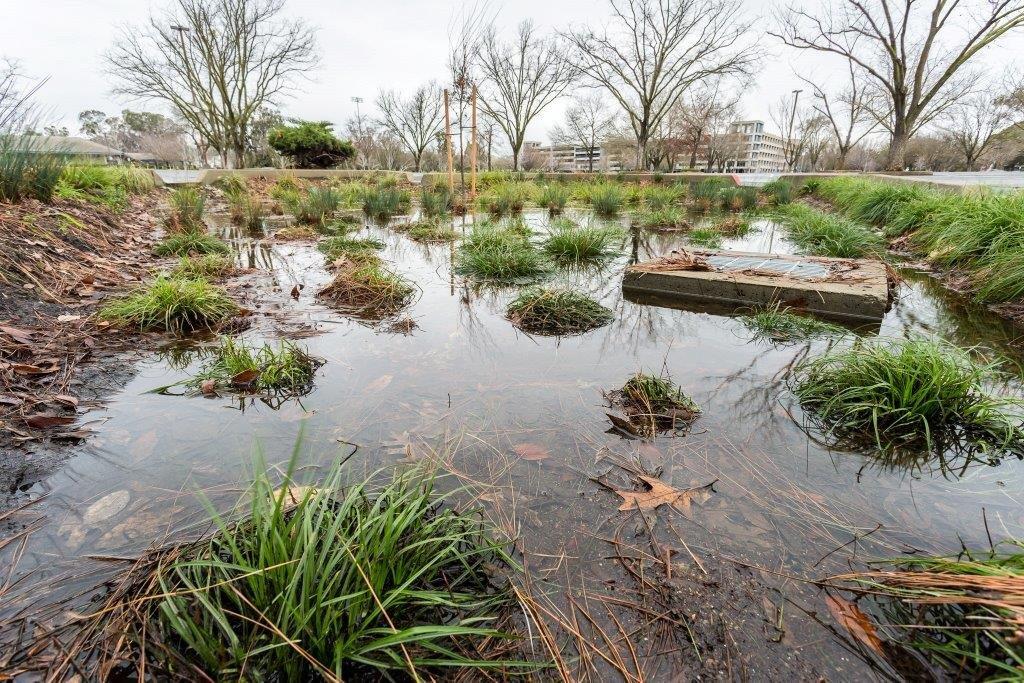 Bioretention planters