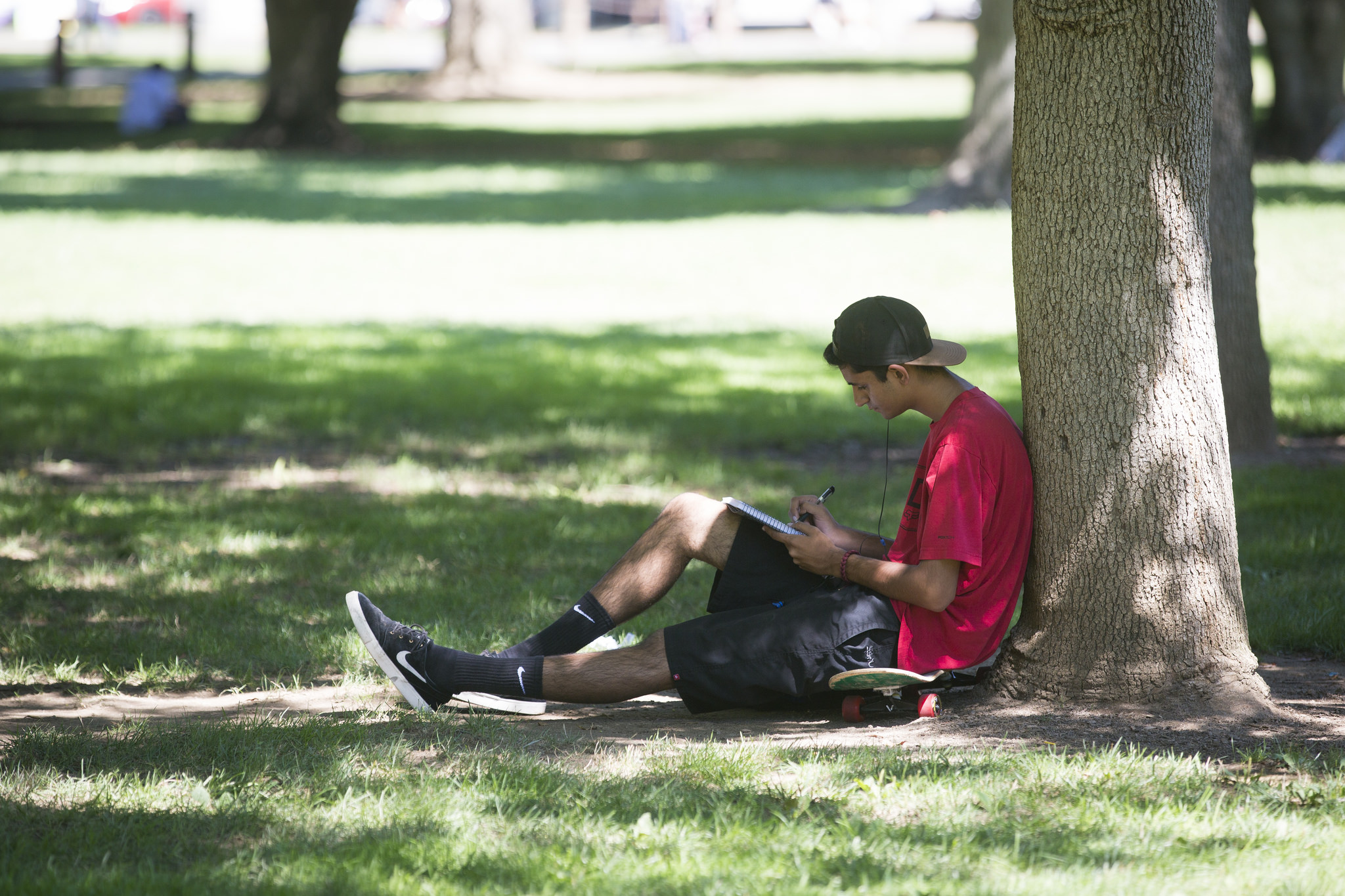 A photo of a student reading in the shade under a tree