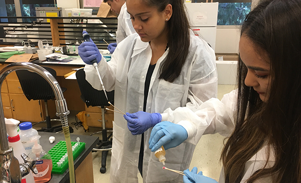A photo of two high school students working with lab equipment