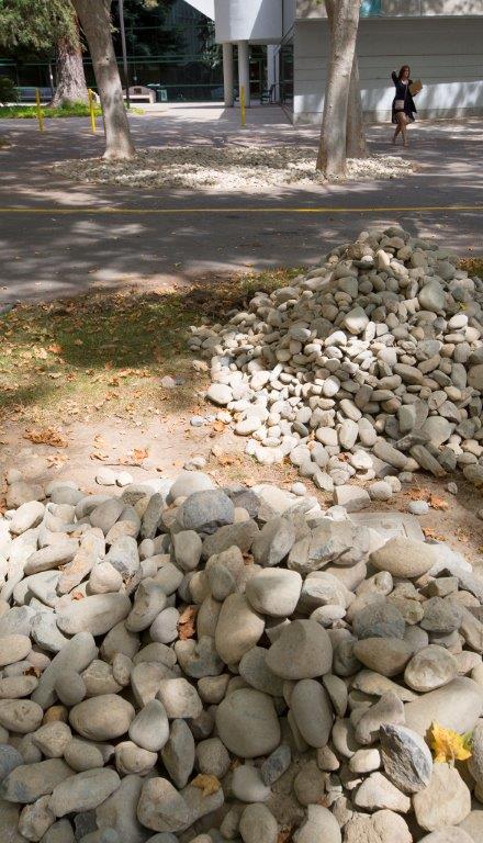 rock landscaping