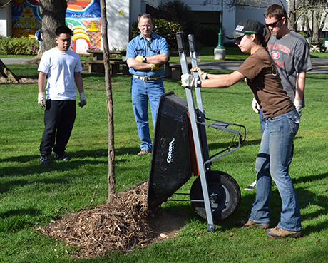 Mulching Mania