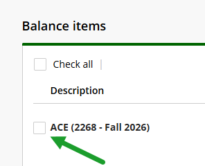 screenshot of payment screen with arrow pointing to ACE selection