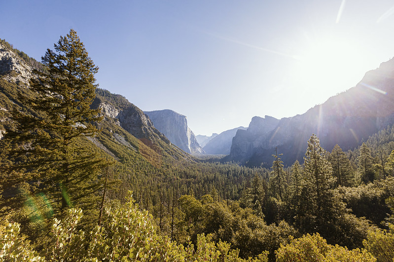 Open sky and sun in sky over valley of Yosemite