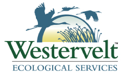 westervelt logo