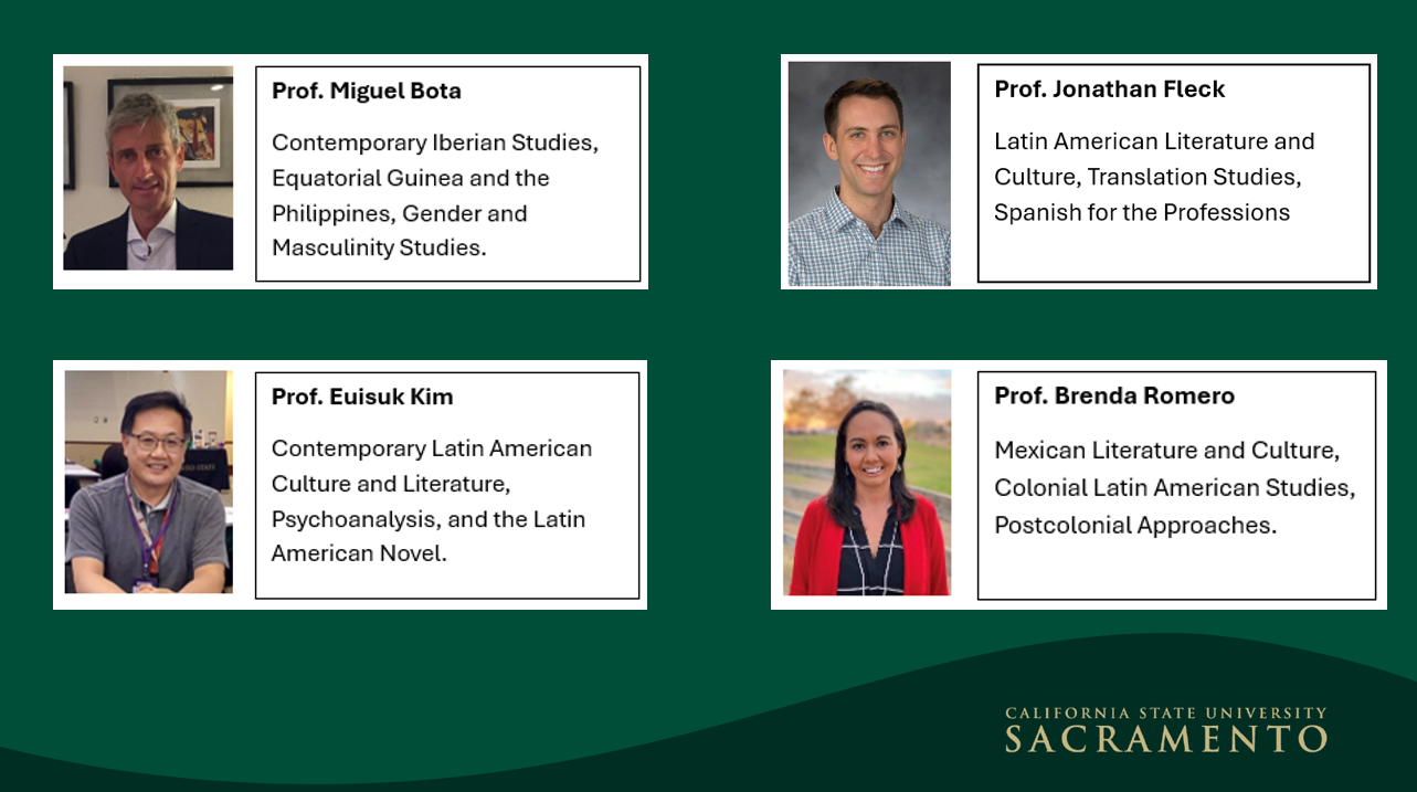 the five profiles of MA in Spanish faculty