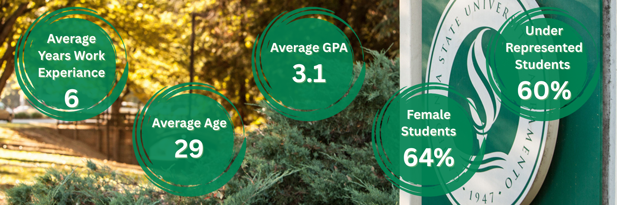 MBA Student Demographics