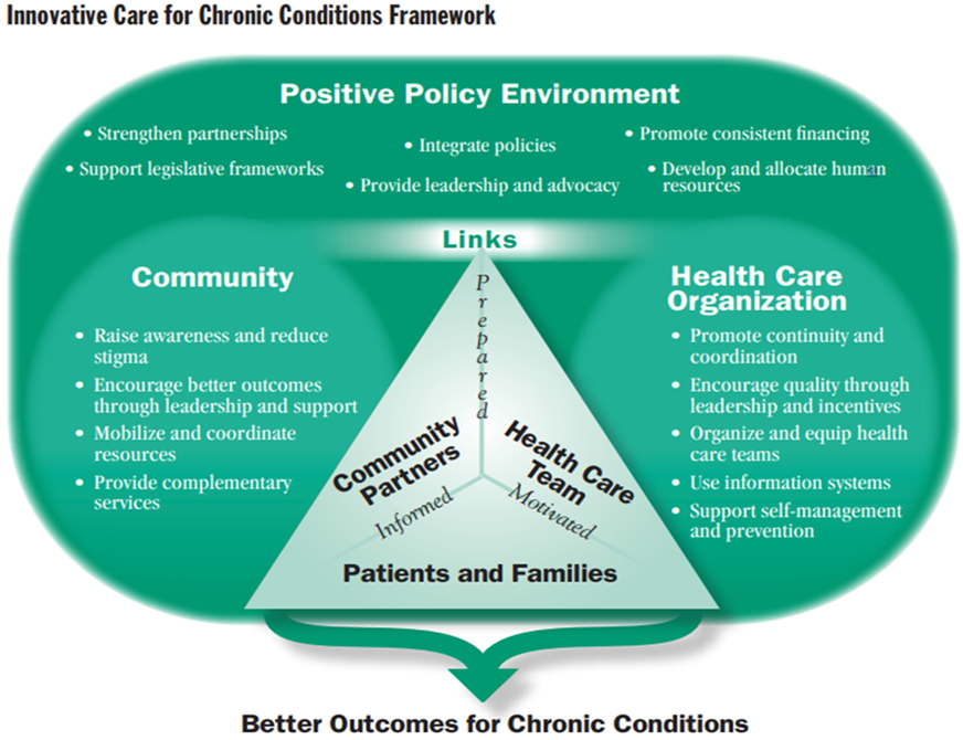 Innovative Care for Chronic Conditions Framework
