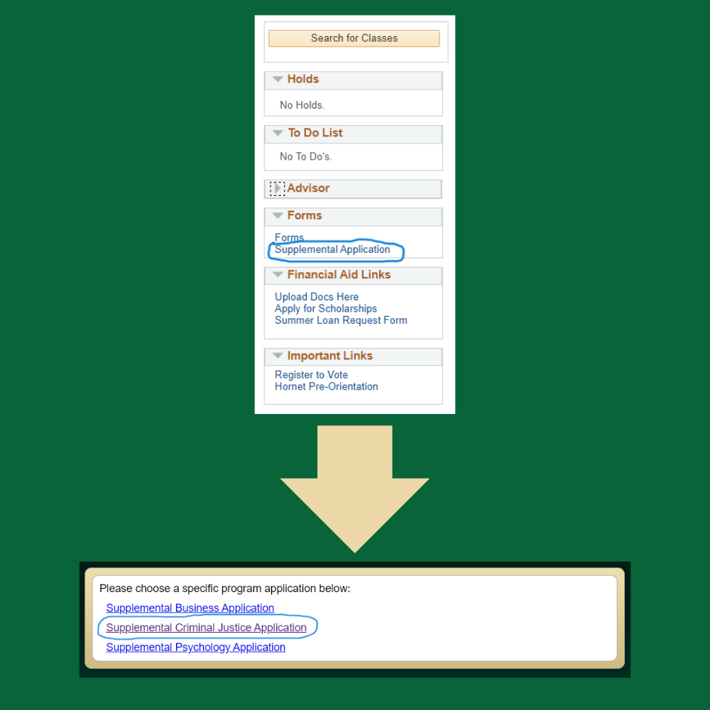 supplemental-application-image.png
