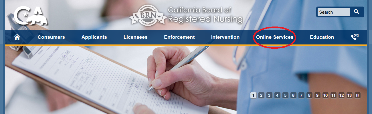 BRN website with Online Services button circled in red.