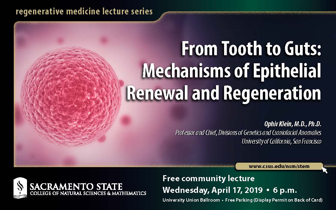 Regen Medicine Epithelial Lecture Card