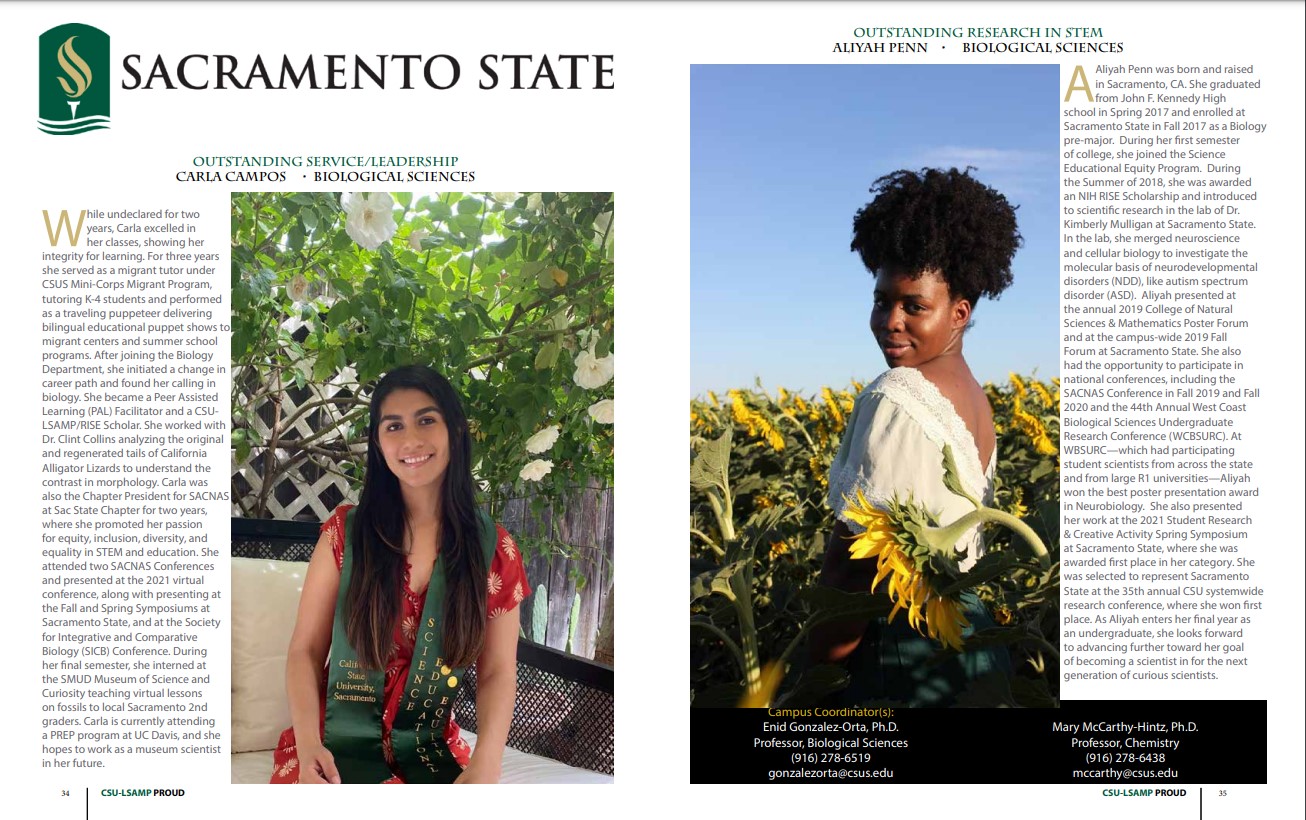 Screenshot of CSU-LSAMP Publication page featuring Sac State students