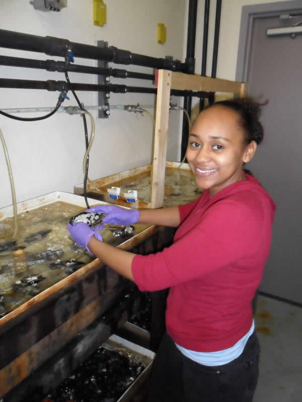 Nadine Rodriguez, Former CSU-LSAMP BD Participant in the lab