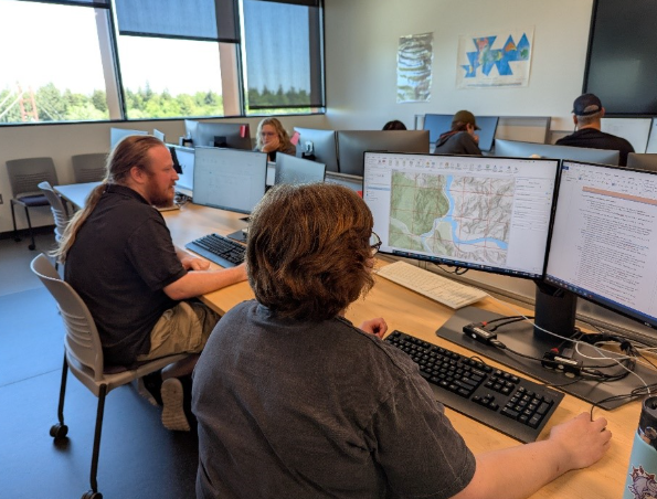 people using the computer