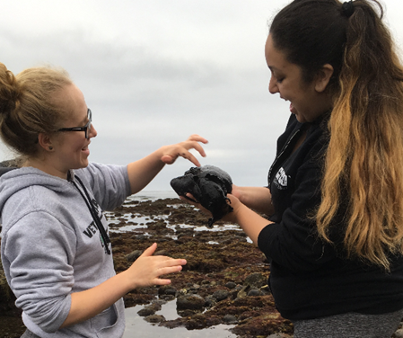 Sac State biological sciences students doing field research
