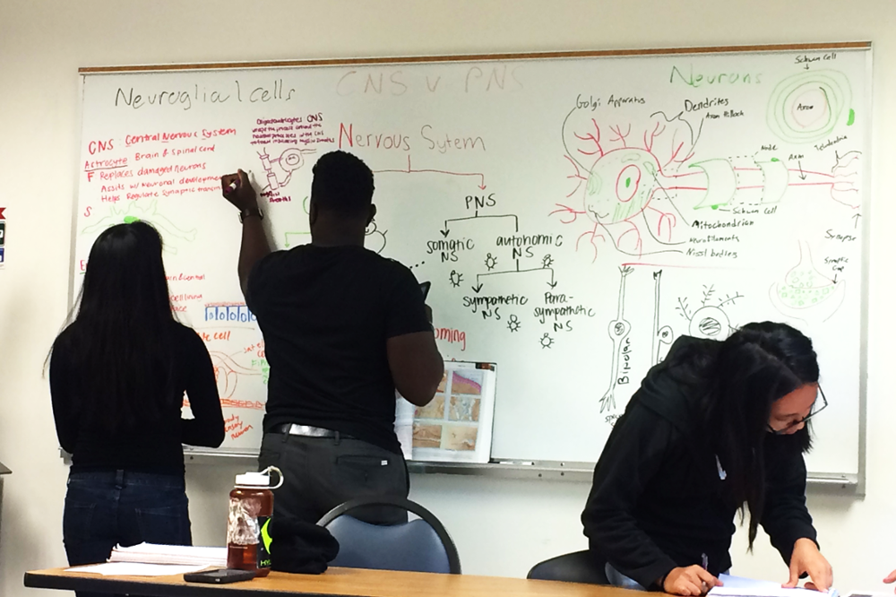 A group of successfully mentored students stand beside their work