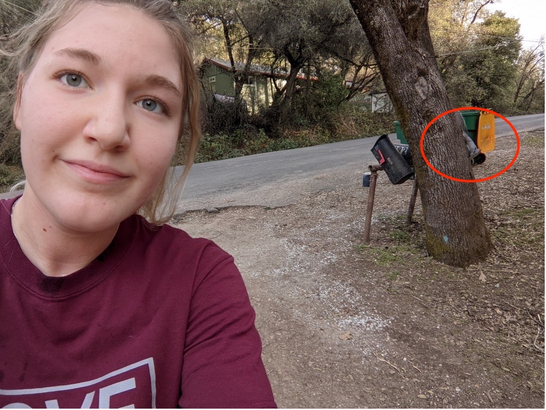 Selfie of student with squirrel on tree in background.