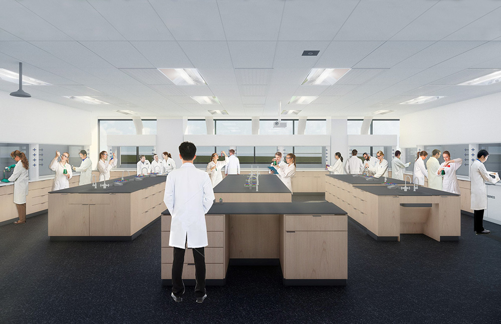lab