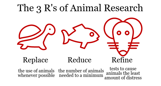 Three R's of Research