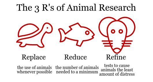 research 3 rs