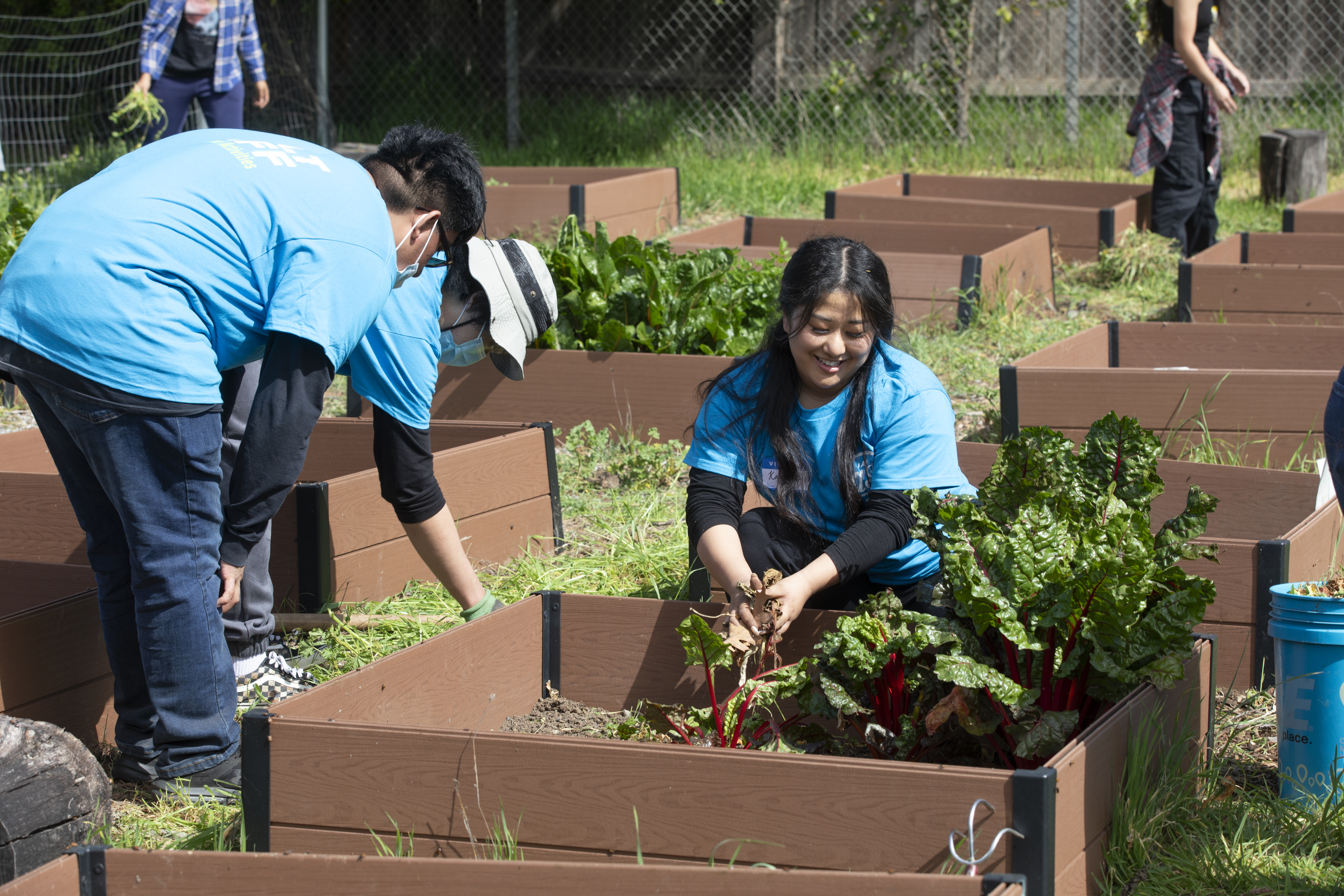 Garden Day Alt Break 2024