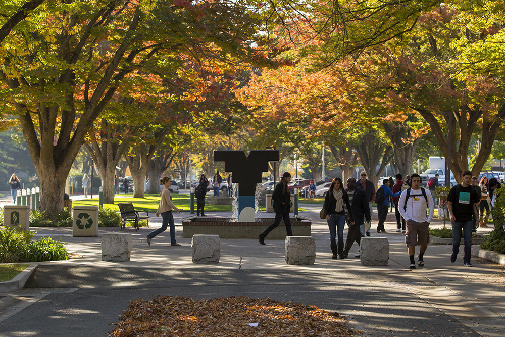 sac state is a tree campus