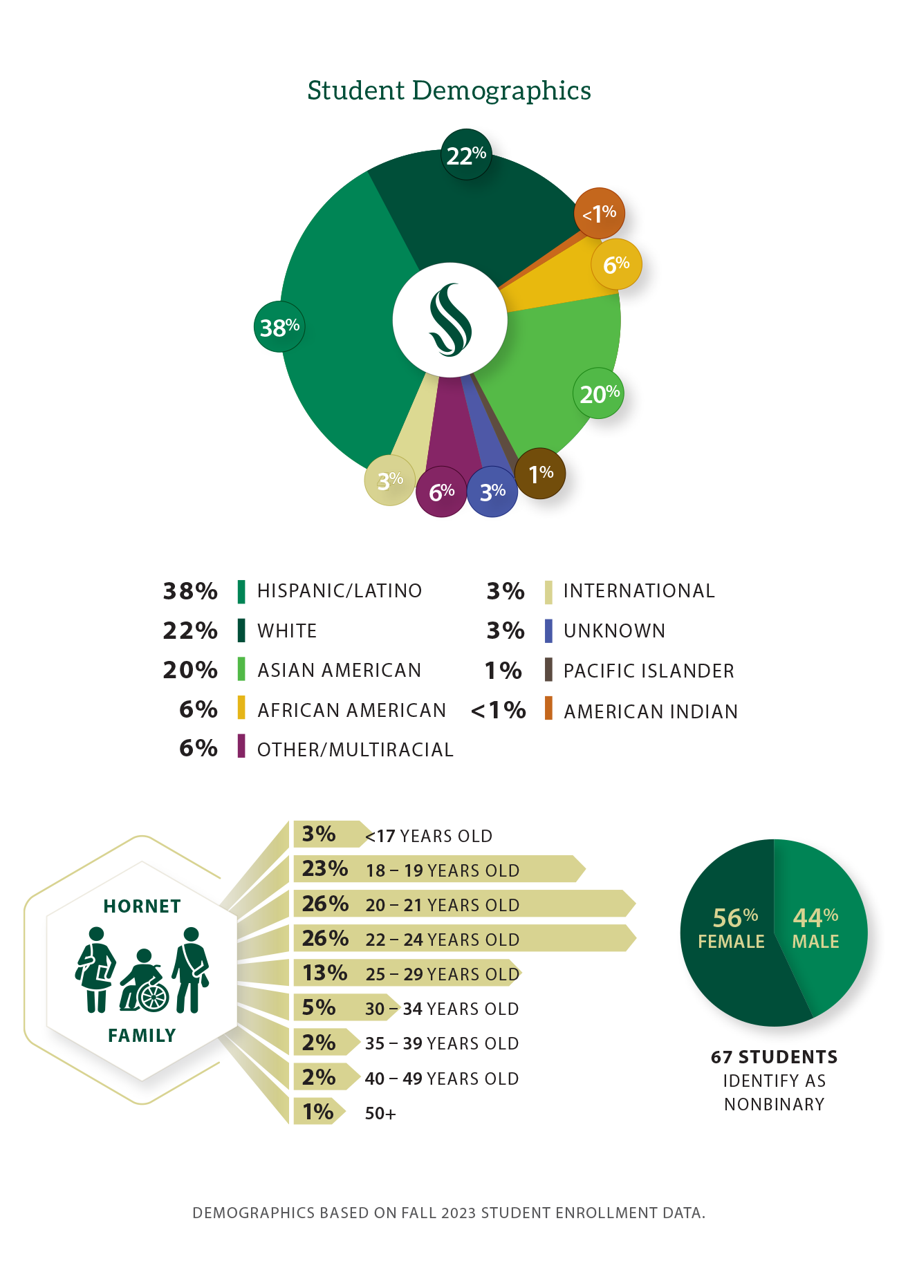 Graph: student demographics