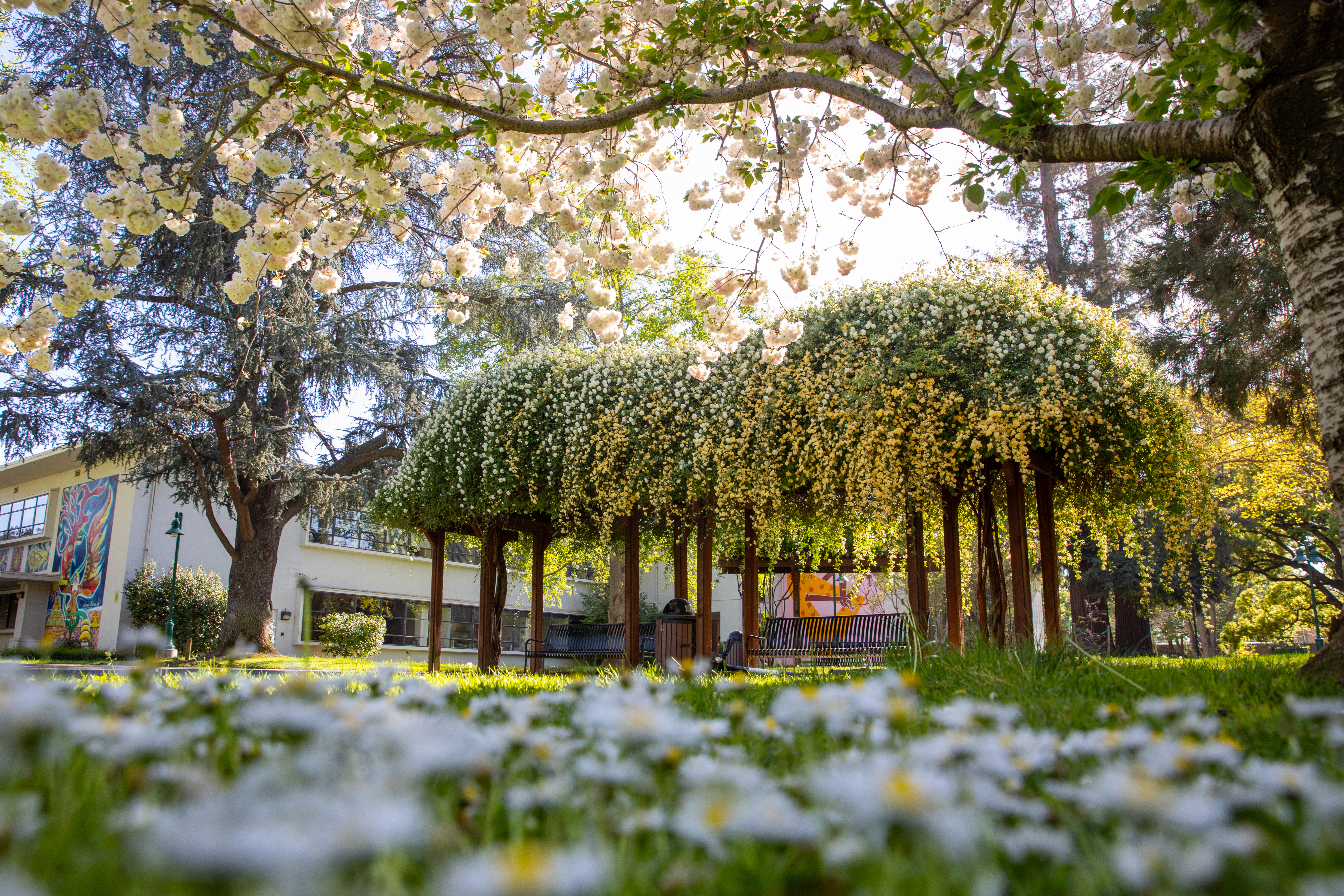 Photo: campus beauty
