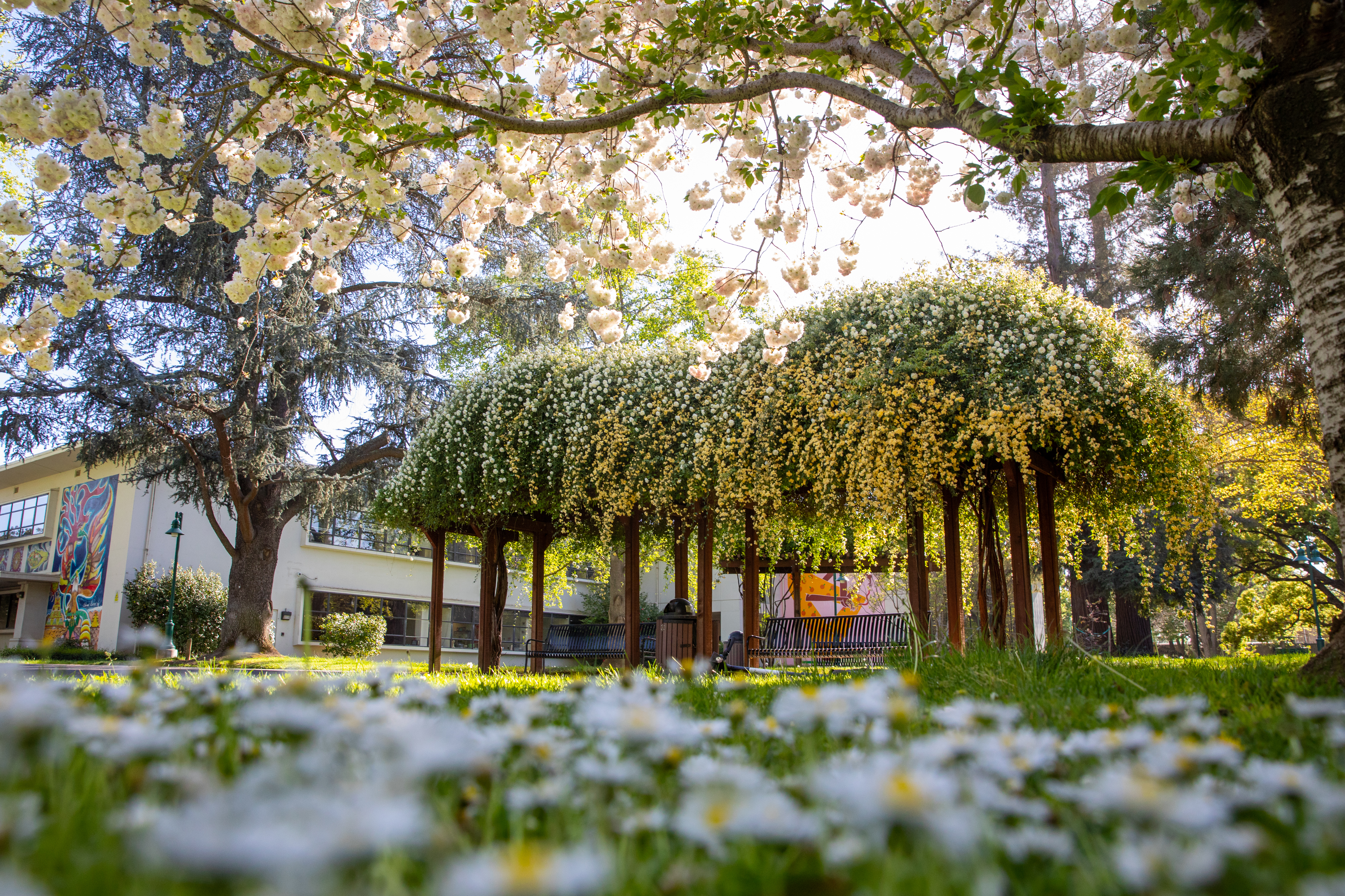 Photo: campus beauty 