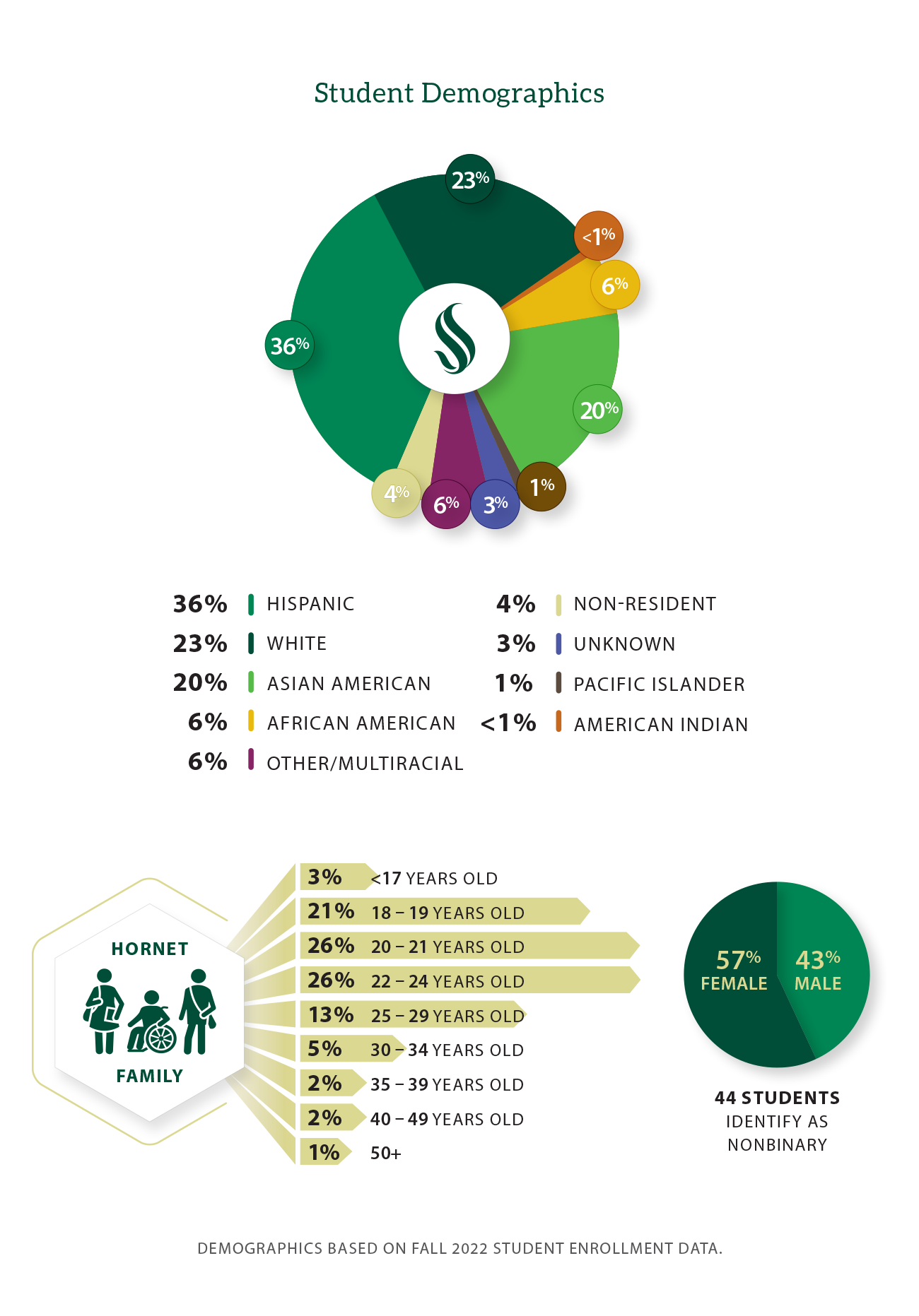 Graph: student demographics