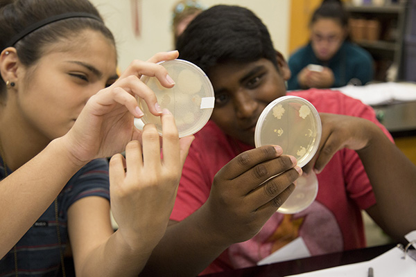 students study STEM