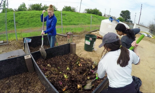 image of students composting