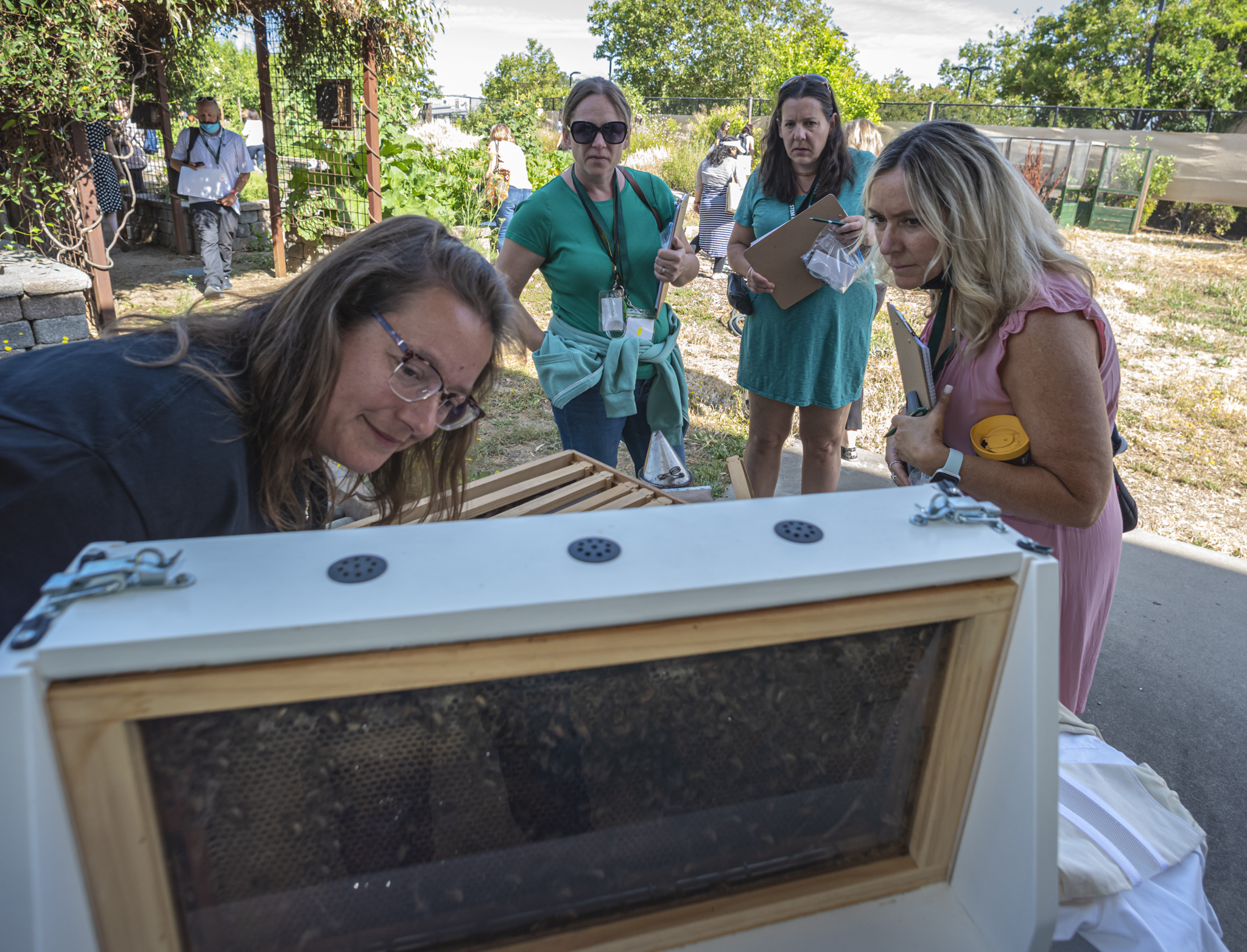 People looking at hive in the garden