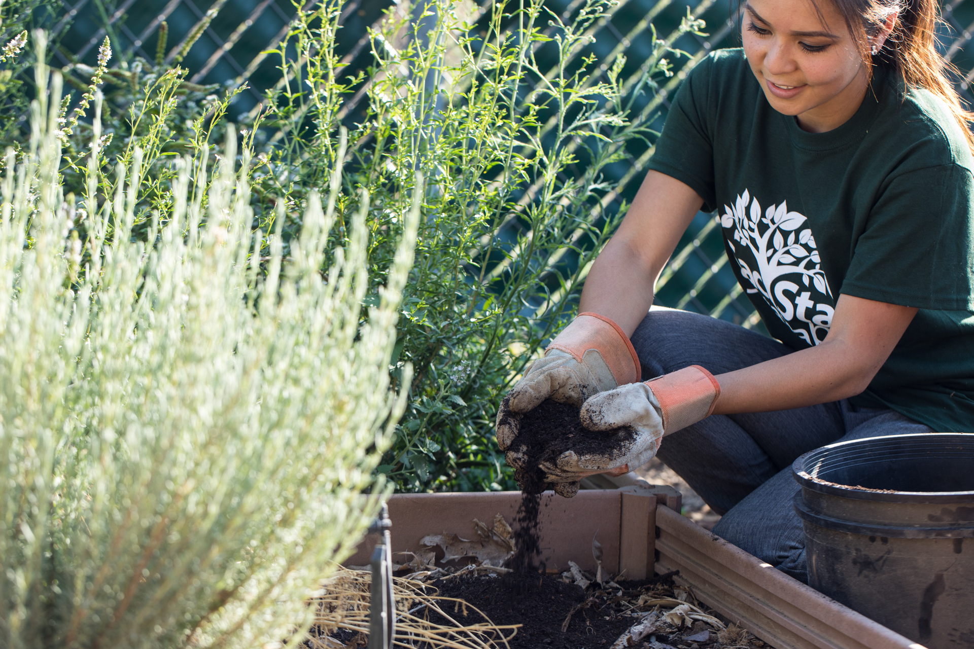 Compost