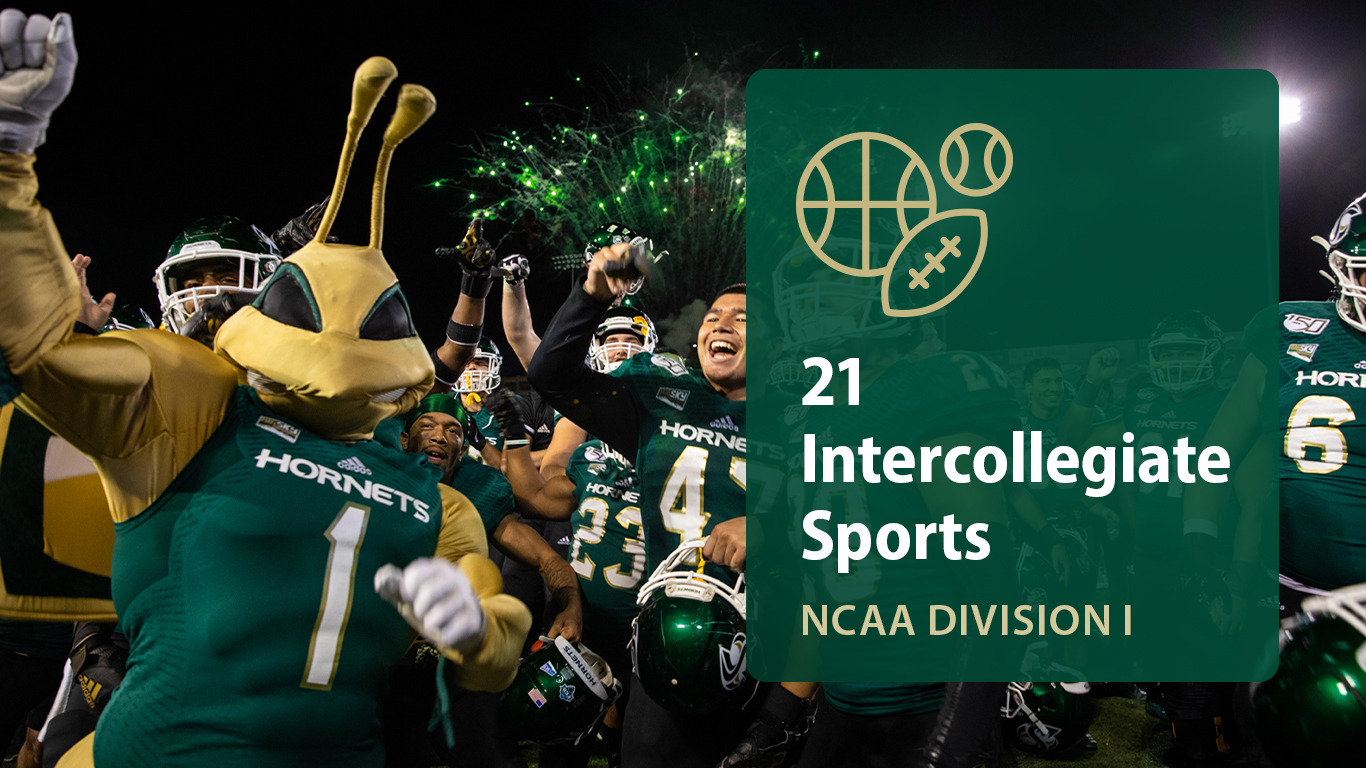 Herky at football game with 21 intercollegiate sports overlay