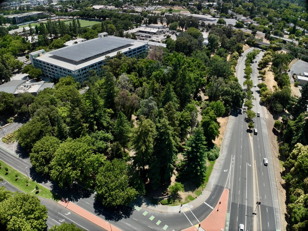 Aerial view of arboretum
