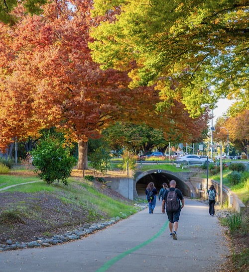 Tunnel leading to Arboretum entrance