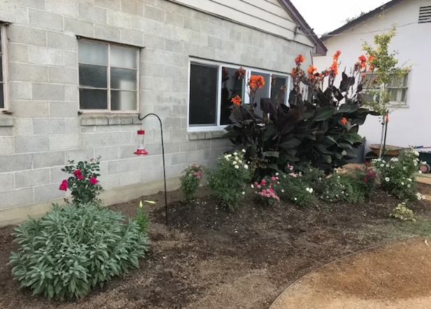 This is an image of their current garden