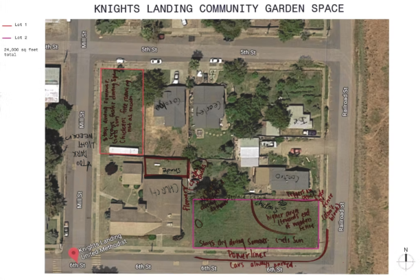 This is an image of a garden layout