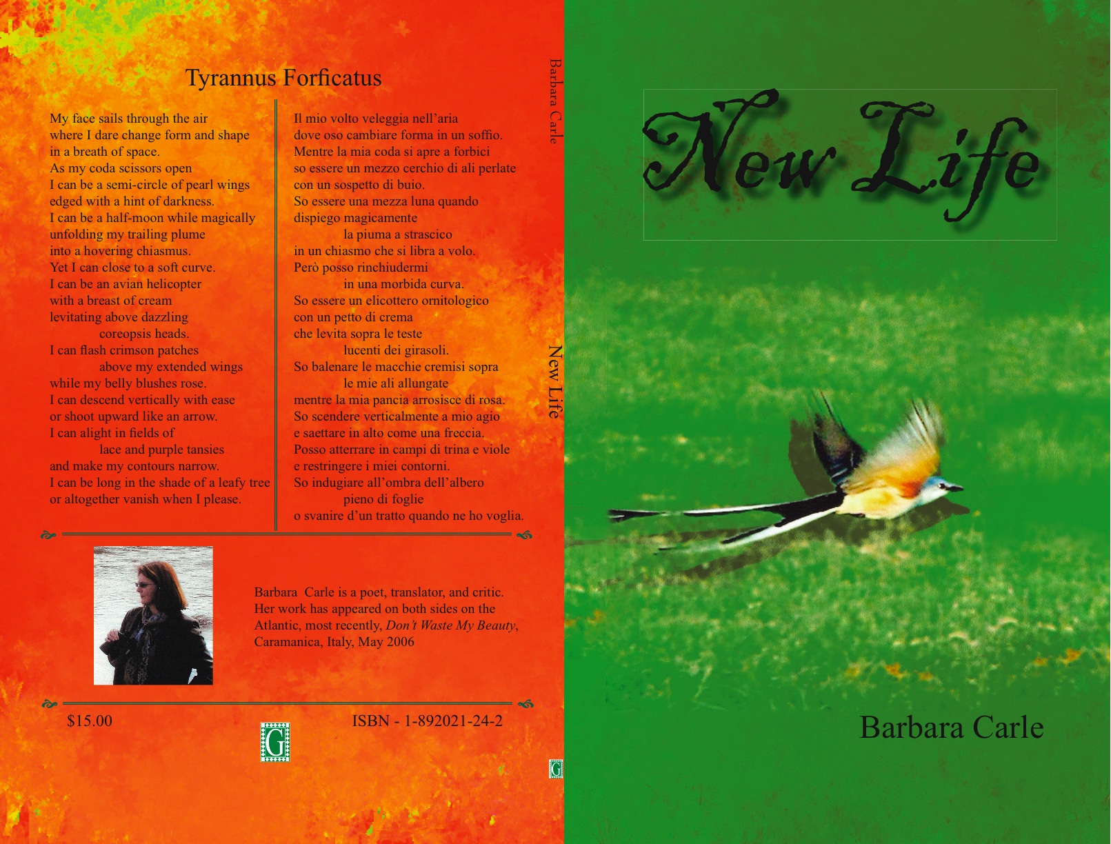 Book Cover New Life