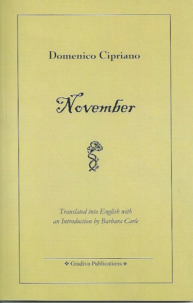Cover Page of a book named "November"
