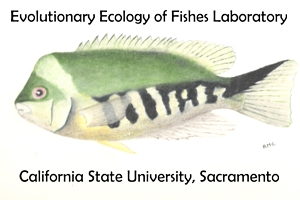 Evolutionary Ecology of Fishes Laboratory Logo