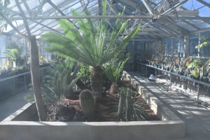 Greenhouses